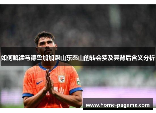 如何解读马德鲁加加盟山东泰山的转会费及其背后含义分析