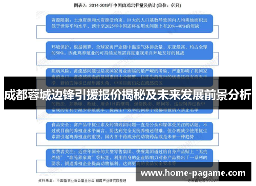成都蓉城边锋引援报价揭秘及未来发展前景分析
