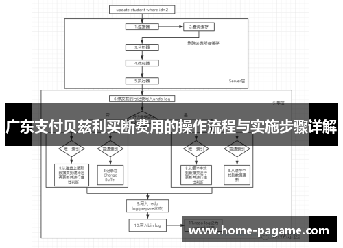 广东支付贝兹利买断费用的操作流程与实施步骤详解