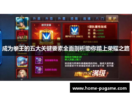 成为拳王的五大关键要素全面剖析助你踏上荣耀之路