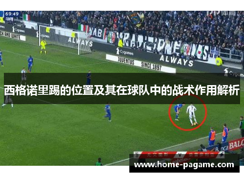 西格诺里踢的位置及其在球队中的战术作用解析