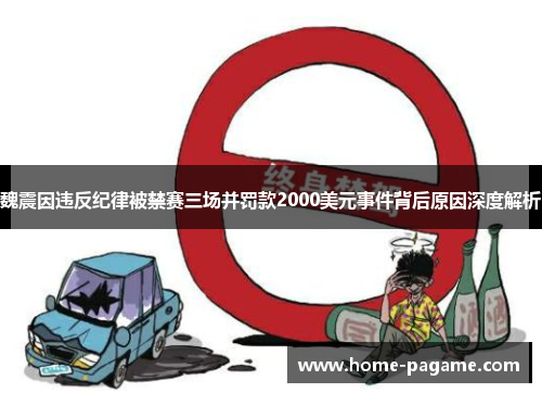 魏震因违反纪律被禁赛三场并罚款2000美元事件背后原因深度解析