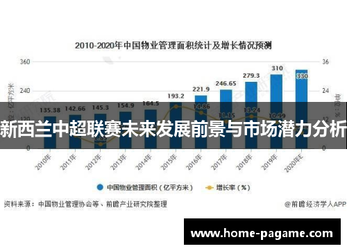 新西兰中超联赛未来发展前景与市场潜力分析