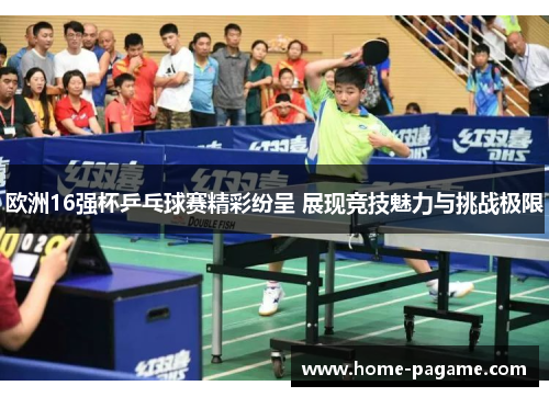 欧洲16强杯乒乓球赛精彩纷呈 展现竞技魅力与挑战极限