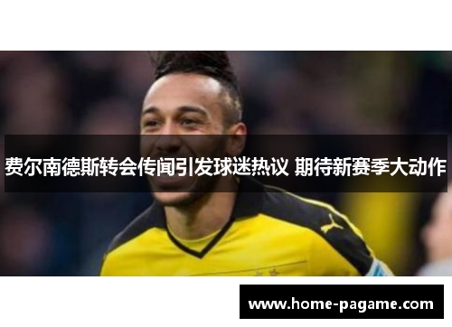 费尔南德斯转会传闻引发球迷热议 期待新赛季大动作 费尔南德斯转会传闻引发球迷热议 期待新赛季大动作