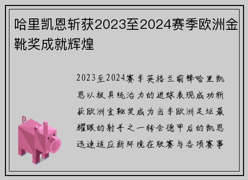 哈里凯恩斩获2023至2024赛季欧洲金靴奖成就辉煌 哈里凯恩斩获2023至2024赛季欧洲金靴奖成就辉煌